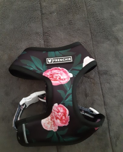 Dog harness size frenchie - size, xs