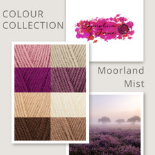 Stylecraft Special Dk