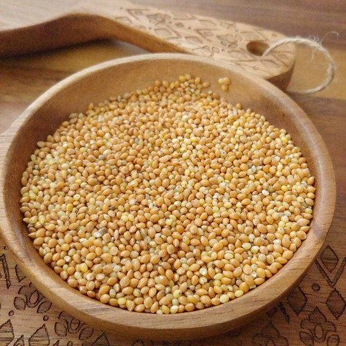 Organic millet birds - birds, food