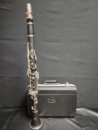 Elkhart clarinet vintage - elkhart, bb
