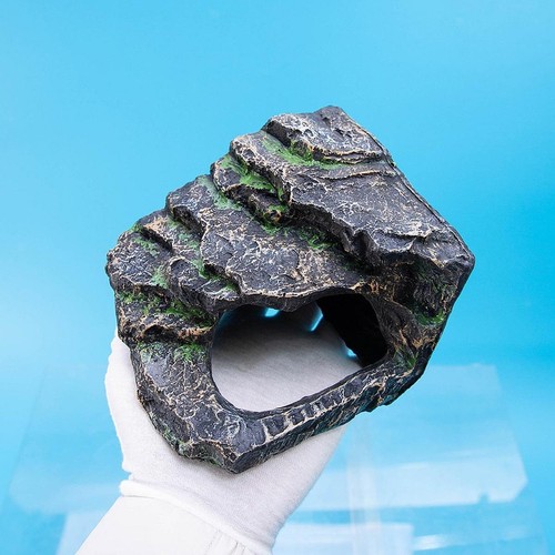 New bearded dragon tank - new,