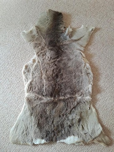 Deer skin good - deer, used