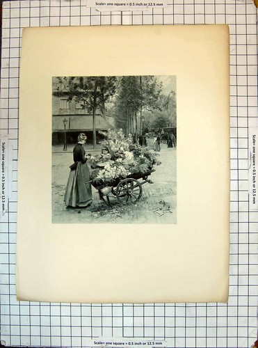 Old antique print engraving - old,