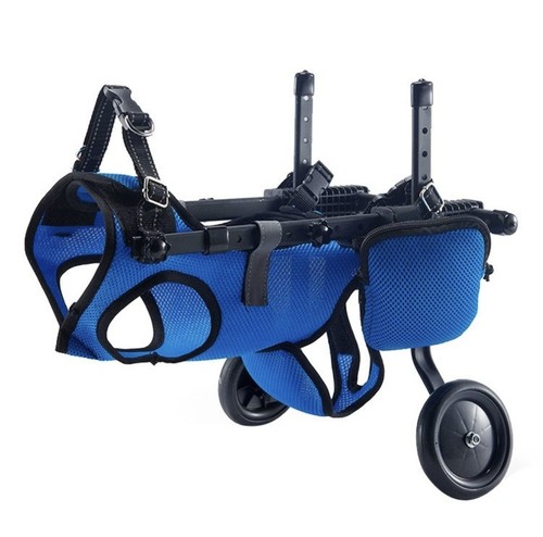 Dog wheelchair supportive - dog,