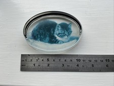 Collectable Glass Paper Weight