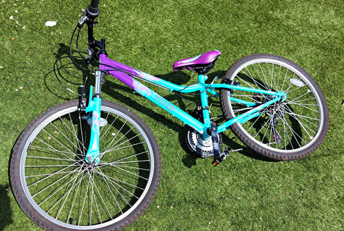 Apollo vivid junior 24in - vivid,