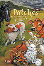 Patches: Adventures of a