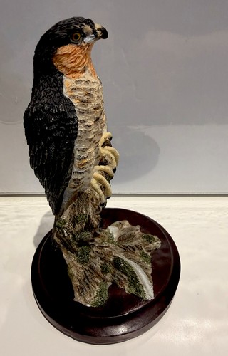 Andy pearce the country bird - the,