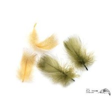 Mallard Drake Round Breast