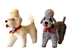 Vintage miniature poodle dog