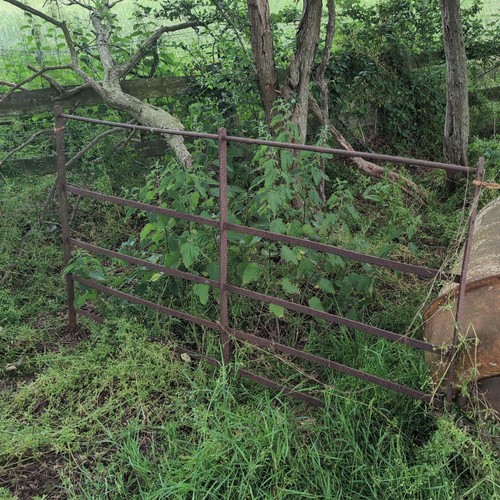 Sheep hurdles ft - sheep,