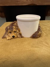 Ultra Rare Aichi Seto Japanese