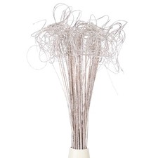 60 Pcs Glitter Dried Curly Willow Branches Natural Branches Twigs, White