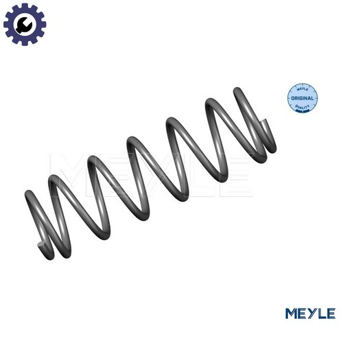 Suspension spring 100 739 0000 - suspension,
