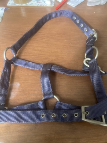 Head collar pony - ,