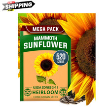 Mammoth Sunflower Seeds 520+