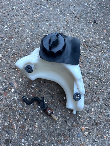 Genuine selva marine guppy - selva,
