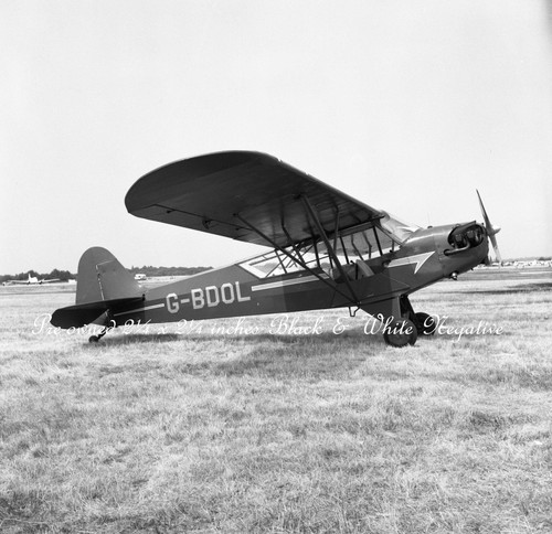 Piper grasshopper g - l-4j,