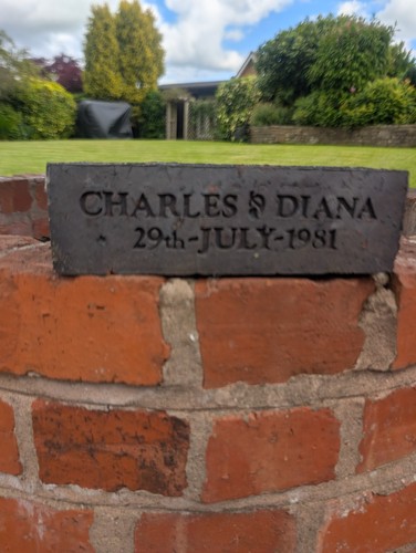 Charles and diana - and, royal