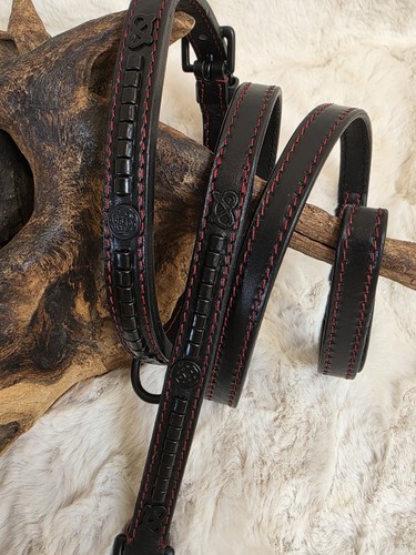 Staffy show collar lead - show,