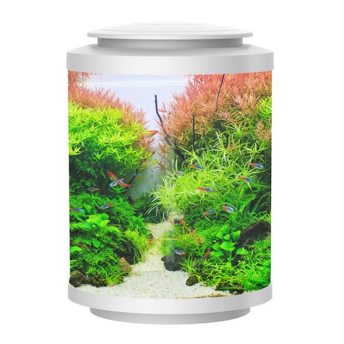 Betta choice acrylic cylinder - betta,