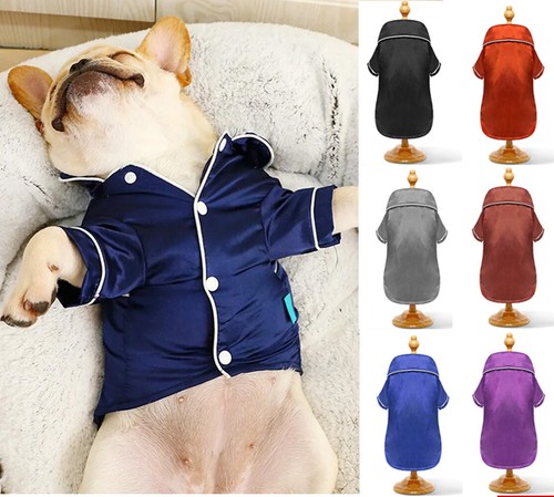 Large pet dog - large, silk