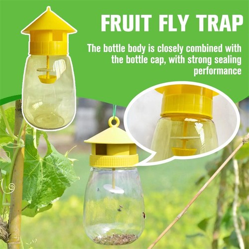 Reusable fruit fly - reusable,