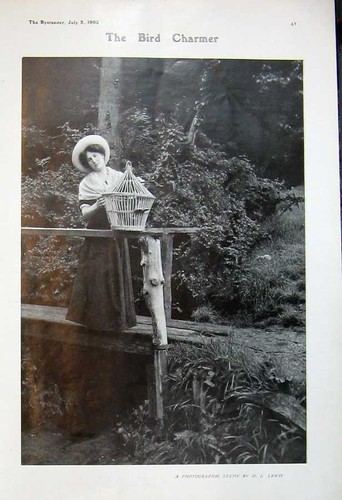 Original old antique print - original,
