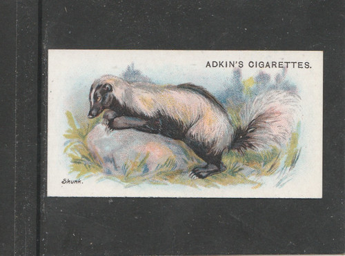Adkin wild animals the - wild, of