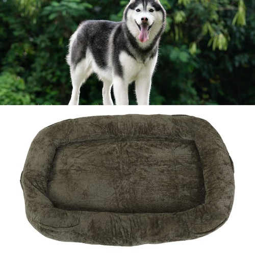 Human sized dog brown - sized, bed