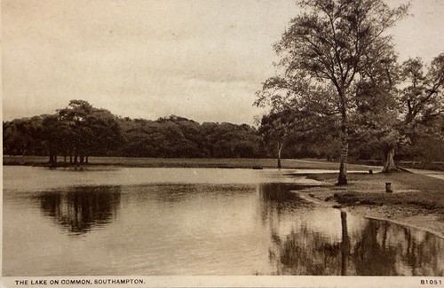Southampton common lake - common,