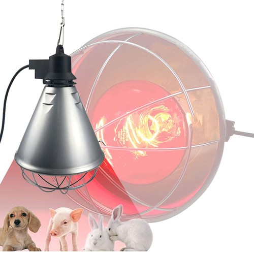 250w heat lamp - heat, infrared