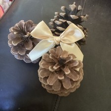 10 x Large Pine Cones From