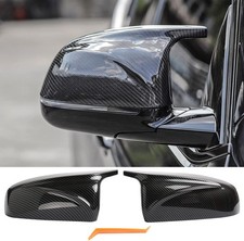 Carbon Fiber Rearview Side
