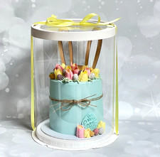 10 x Round PVC Clear Tall Cake