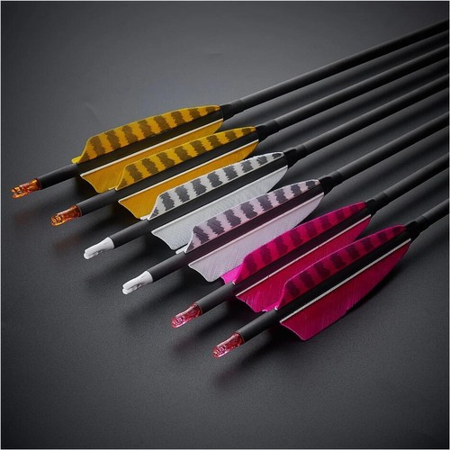 Archery turkey feathers - archery,