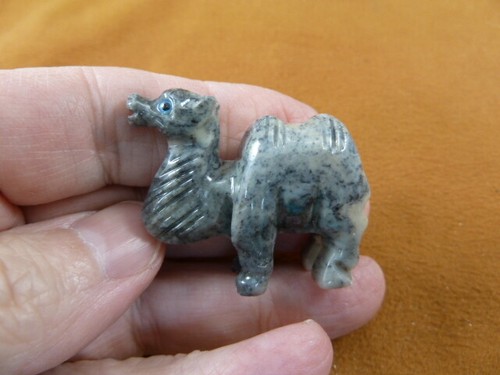 Cam gray camel - y-cam-29,