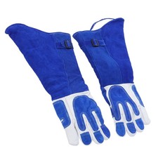 Bird Handling Falconry