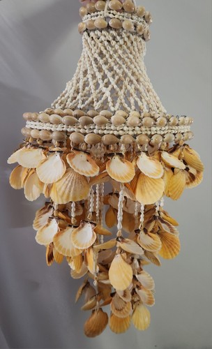 Hanging sea shell chandelier - hanging,