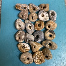 Twenty Natural Hag Stones