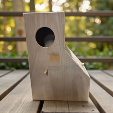 African Grey Parrot / Most