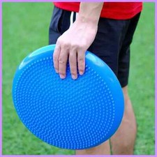 Wobble Cushion For Physical