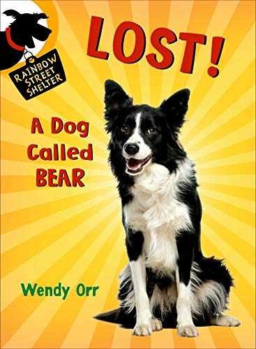 Lost dog called bear - a,