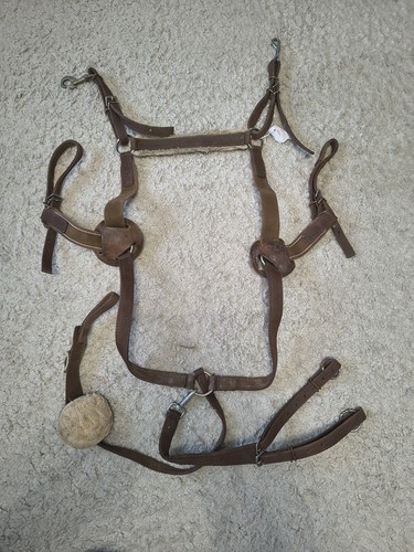 Equestrian elasticated point - equestrian,