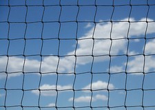 Poultry Game Netting 22' x 66'