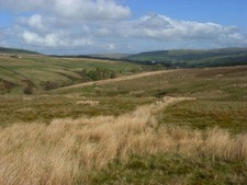 Photo 6x4 Rough pasture above