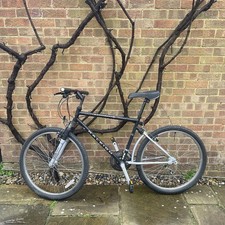 Raleigh Activator Mountain