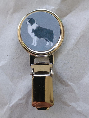 Border collie dog show ring - show,
