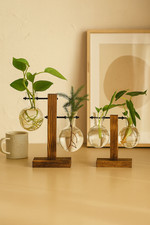 Creative Glass Bulb Vase with