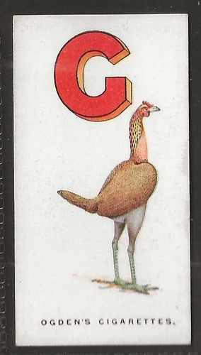 Ogdens poultry alphabet - ogdens-poultry,